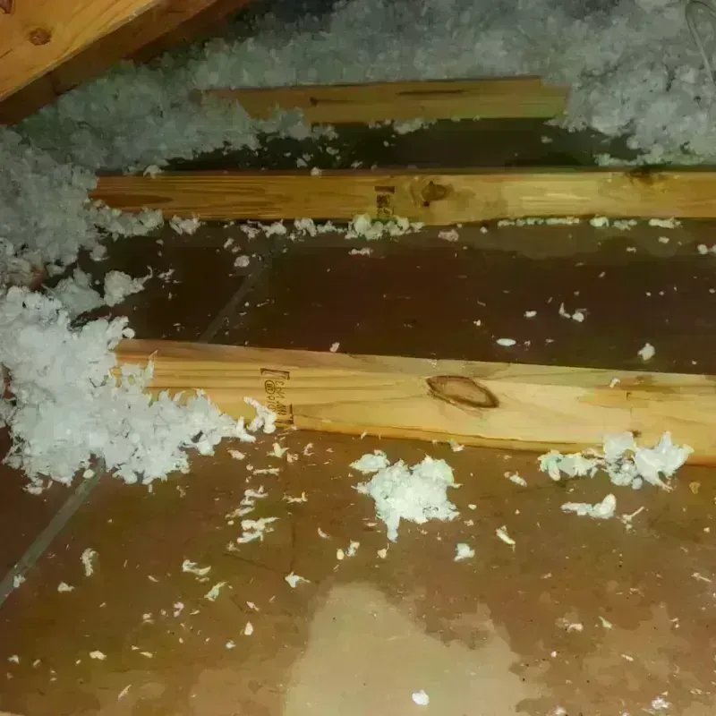 Attic Water Damage in Perry County, IL