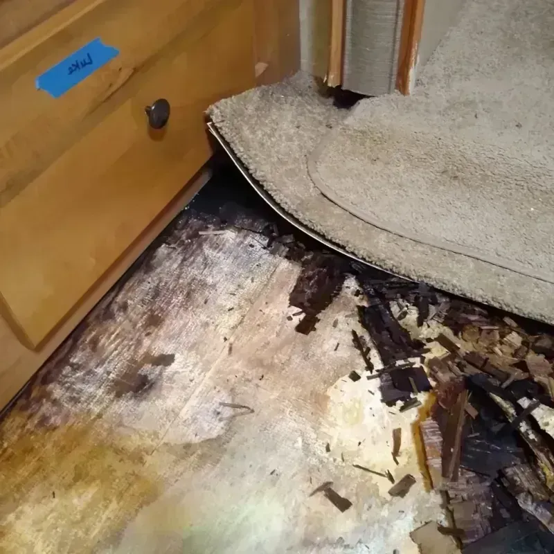 Wood Floor Water Damage in Perry County, IL